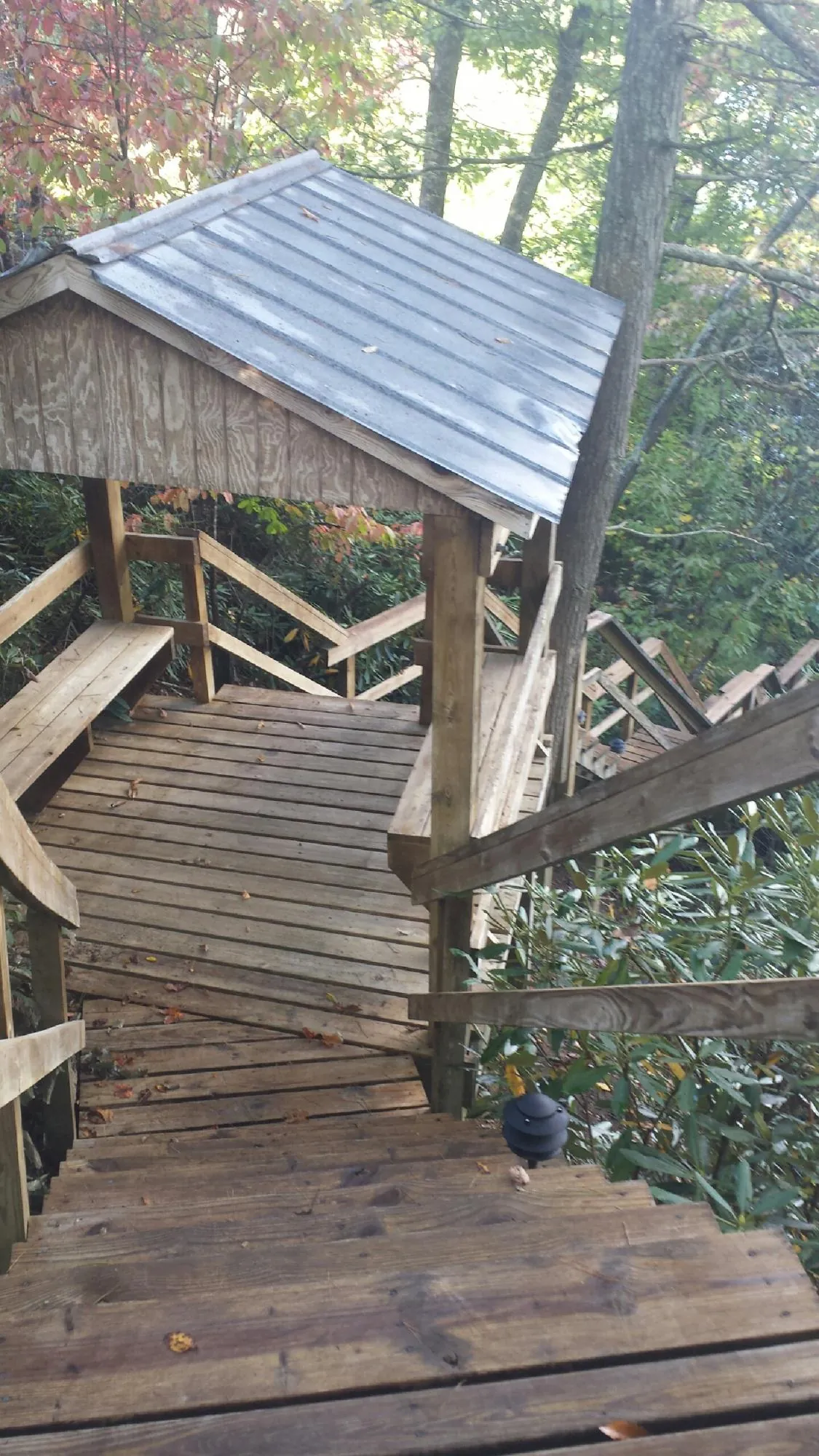 Metal roofed shelter over wooden steps on a wooded walkway — Skylight Repair & Installation work by our crew in Statesboro